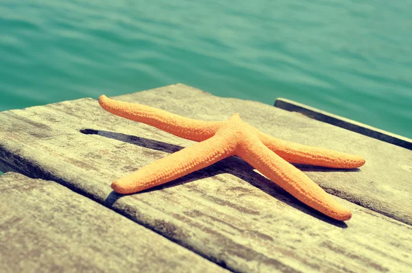 Zeester op een oude houten pier op de zee — Stockfoto