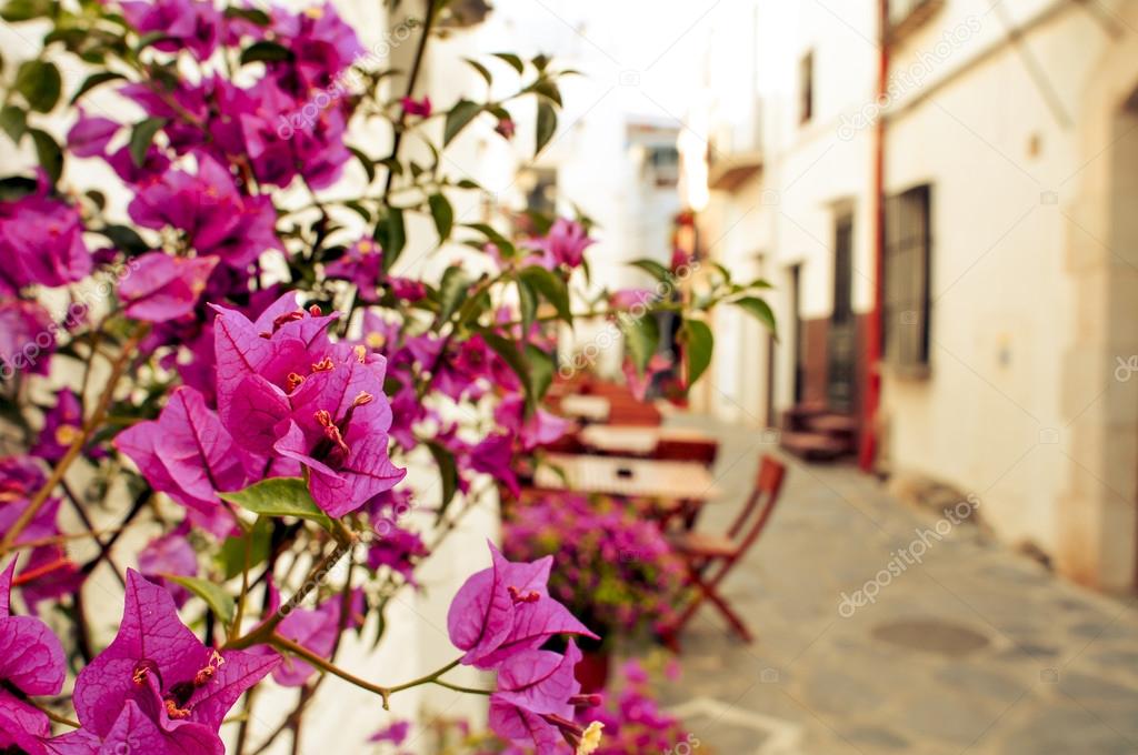 charming street in Cadaques, Costa Brava, Spain