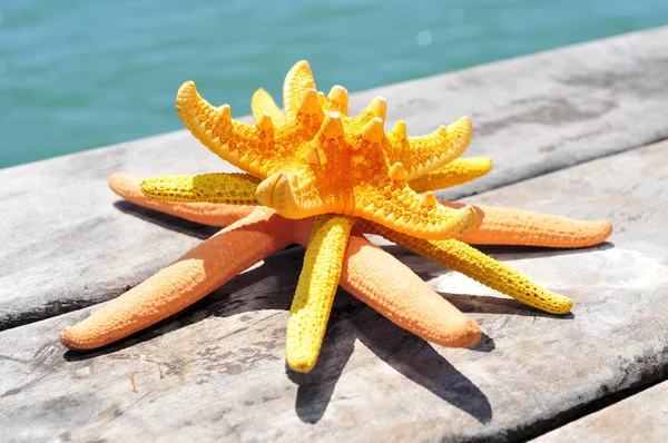 Some starfishes on an old wooden pier on the sea — Zdjęcie stockowe