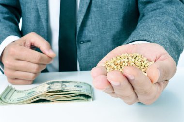 buckwheat seeds and dollar banknotes, depicting the agribusiness