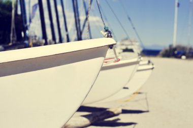 Catamaran sailboats stranded in a beach
