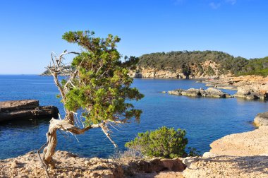 northern coast of Ibiza Island, Spain clipart