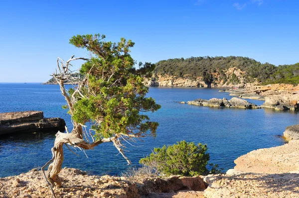 Northern coast of Ibiza Island, Spain — Stock fotografie