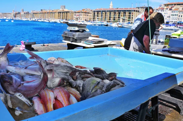 Fish market at the Old Port of Marseille, France — Stock Photo, Image