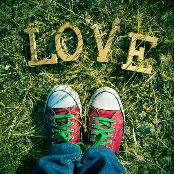 Wooden letters forming the word love on the grass — Stockfoto