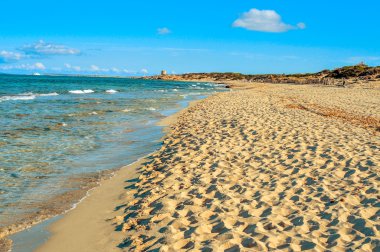 panoramic view of the Es Cavallet beach, in Ibiza Island, Spain clipart