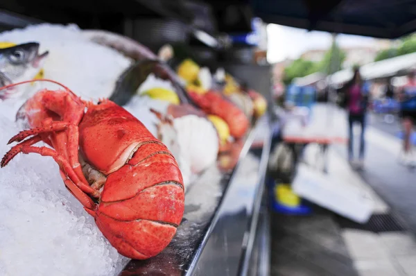 Fresh lobster in a fish market — Stock Photo, Image