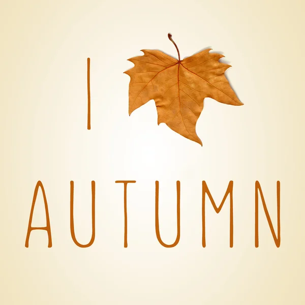 Texto Me encanta el otoño con una hoja seca en lugar de un corazón — Foto de Stock