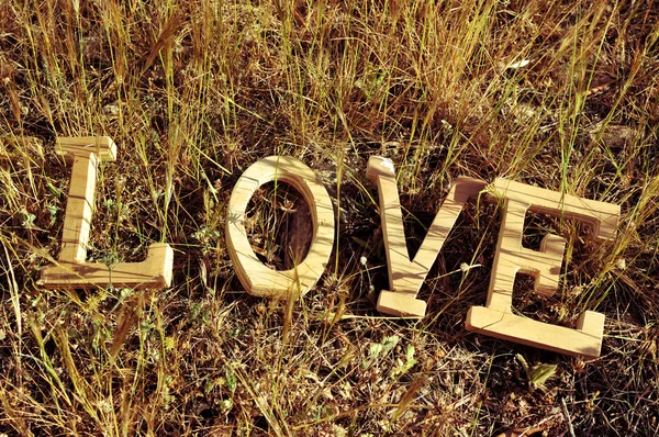 Letras de madeira formando a palavra amor — Fotografia de Stock