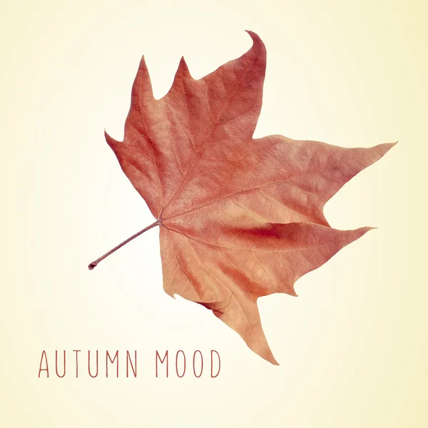 Dry leaf and the text autumn mood — Stock Photo, Image