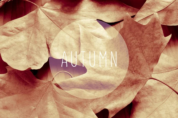 Dried leaves and the word autumn, sepia toning — Stock Photo, Image