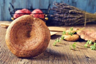rovellons, İspanya'nın tipik sonbahar mantar