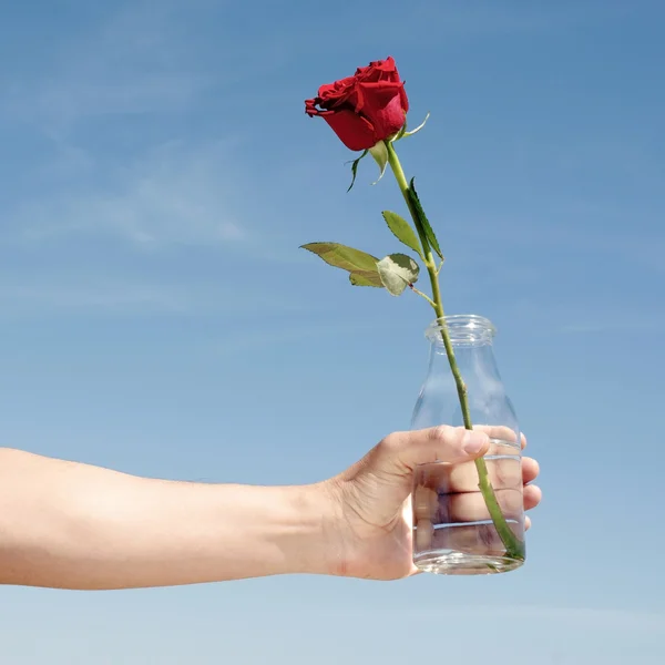 Joven con una rosa roja en una botella de vidrio — Foto de Stock