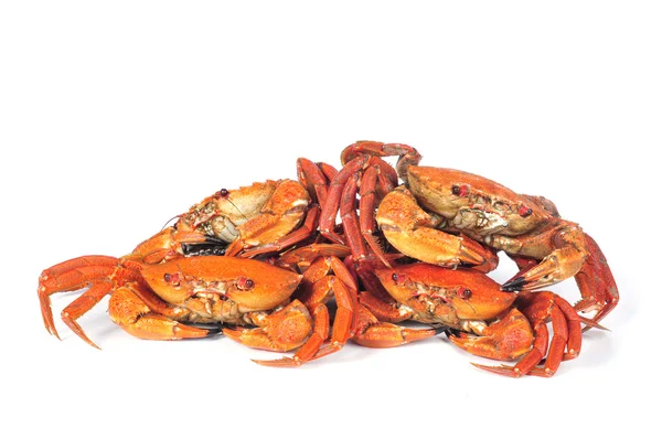 Crabes de velours brut — Photo