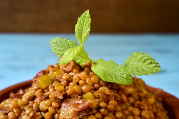 西班牙小扁豆炖煮的食物 — 图库照片