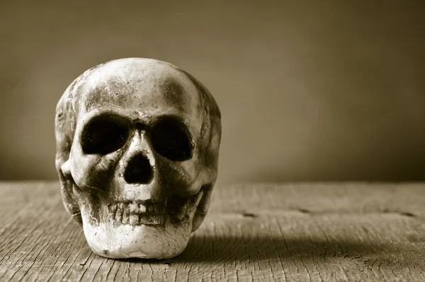 Calavera aterradora sobre una superficie de madera, en tonificación sepia —  Fotos de Stock