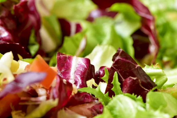 Primo piano un piatto con un'insalata verde — Foto Stock