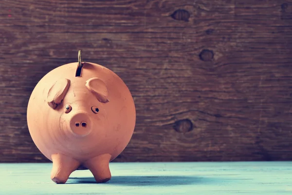 Coin in een piggy bank — Stockfoto