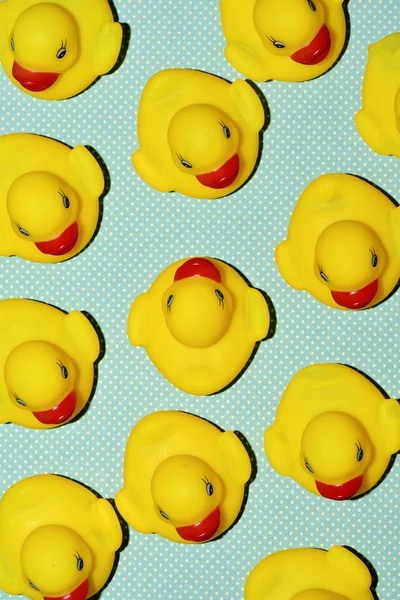 Patos de borracha em um fundo com padrão de ponto — Fotografia de Stock