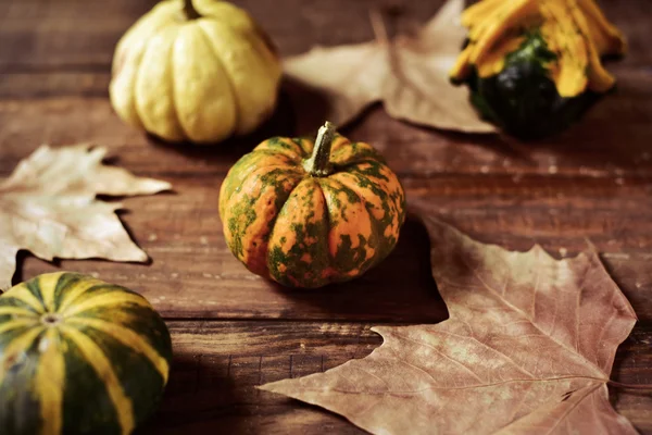 Different pumpkins on a wooden surface — Stock Photo, Image