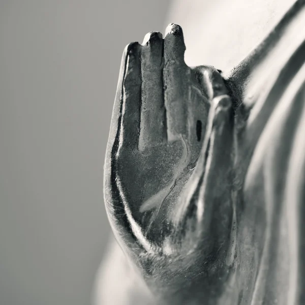 De hand van Boeddha in gyan mudra, in duotoon — Stockfoto