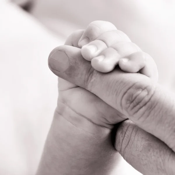 Baby gripping the finger of an adult, in black and white — Stock Photo, Image