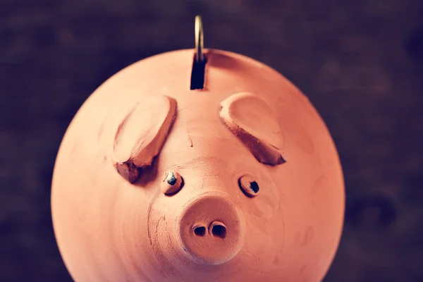Coin in a piggy bank, filtered — Stock Photo, Image