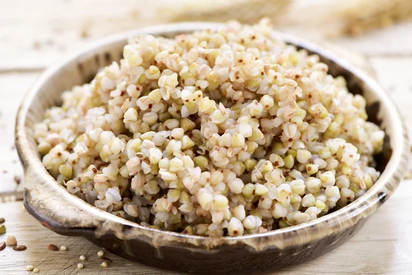 Cooked buckwheat seeds — Stock Photo, Image