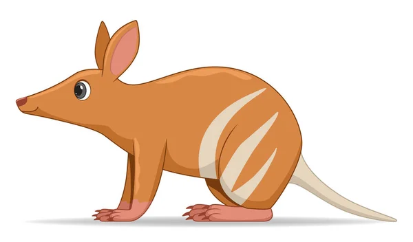 Bandicoot Animal Standing White Background Cartoon Style Vector Illustration — Stock Vector