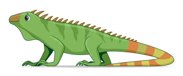 Iguana Ještěrka Zvíře Stojící Bílém Pozadí Vektorová Ilustrace Stylu Karikatury — Stockový vektor