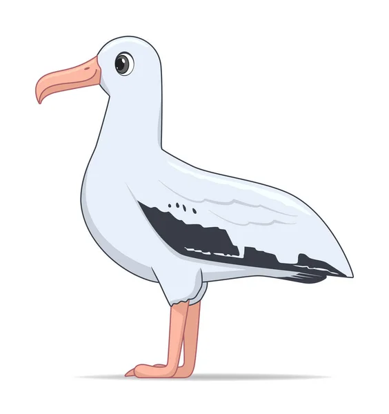 Vandrande Albatross Fågel Vit Bakgrund Tecknad Stil Vektor Illustration — Stock vektor
