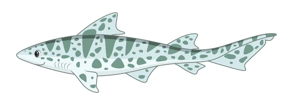 Leopardenhaifisch Auf Weißem Hintergrund Vektorillustration Cartoon Stil — Stockvektor