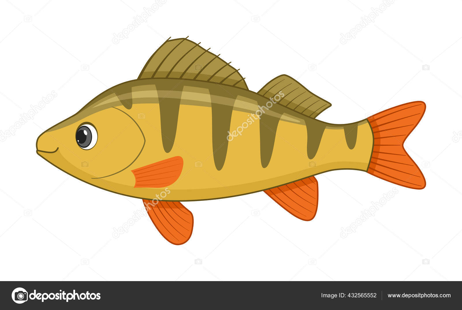 Perch Fish White Background Cartoon Style Vector Illustration Stock