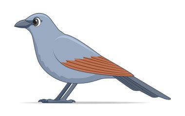 Beyaz arka planda haberci kuş. Çizgi film biçimi vektör illüstrasyonu