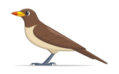 Beyaz arka planda sarı gagalı öküz kuşu. Çizgi film biçimi vektör illüstrasyonu