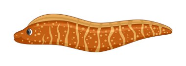 Beyaz arka planda Murray yılan balığı. Çizgi film biçimi vektör illüstrasyonu