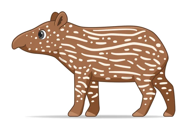 Νοτιοαμερικανικό Ζώο Tapir Στέκεται Λευκό Φόντο Εικονογράφηση Φορέα Στυλ Κινουμένων — Διανυσματικό Αρχείο