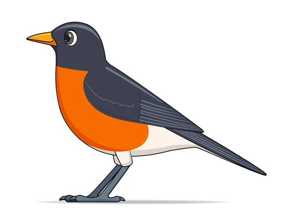 Pássaro Robin Americano Num Fundo Branco Desenhos Animados Estilo Ilustração —  Vetores de Stock