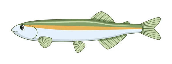Australian Smelt Fish White Background Desenhos Animados Estilo Ilustração Vetorial — Vetor de Stock
