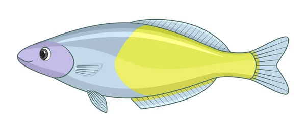 白を背景に虹色の魚をBoesemans 漫画風ベクトルイラスト — ストックベクタ