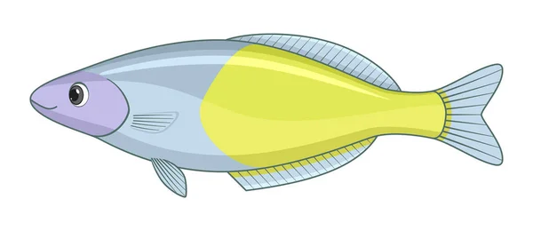 Boesemans Poisson Arc Ciel Sur Fond Blanc Illustration Vectorielle Style — Image vectorielle