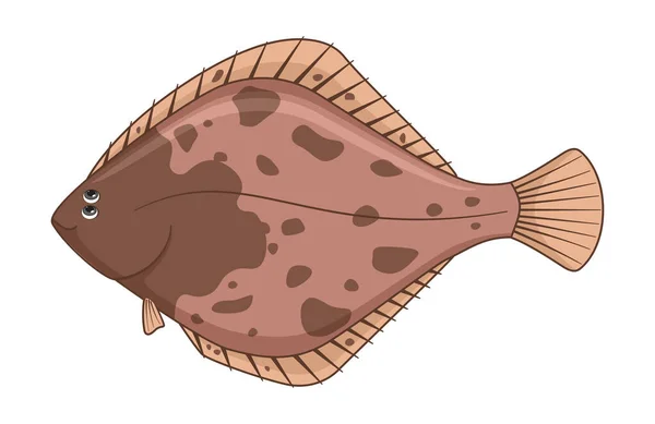 European Flounder Fish White Background Cartoon Style Vector Illustration — Stock Vector