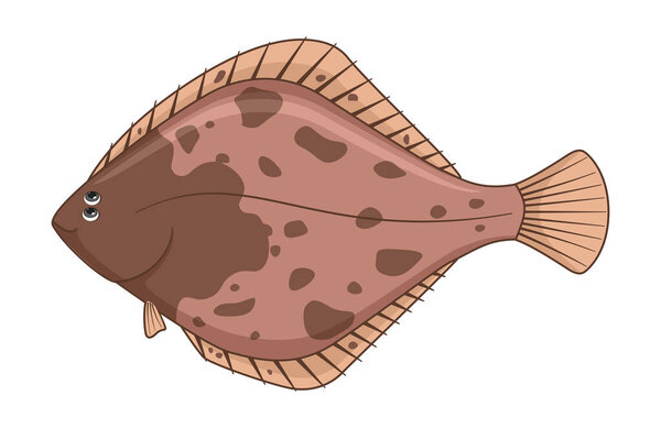 European flounder fish on a white background. Cartoon style vector illustration