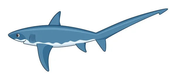Thresher Shark Fish White Background Cartoon Style Vector Illustration — Stock Vector