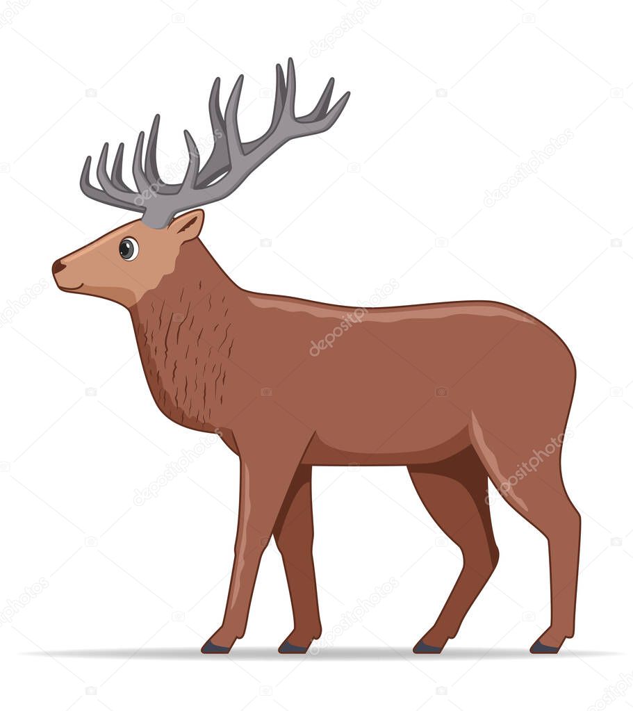 Red deer animal standing on a white background. Cartoon style vector illustration