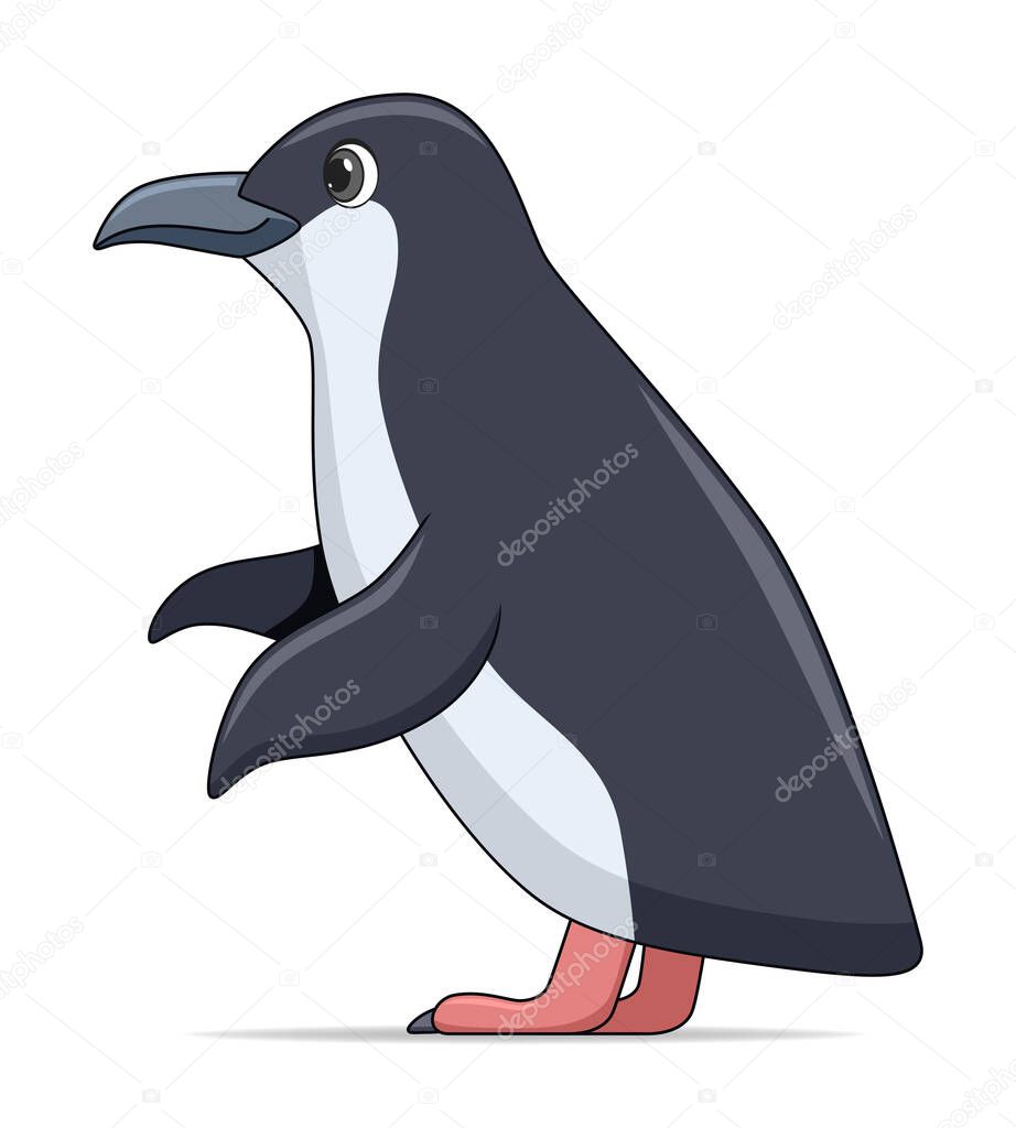 Little penguin bird on a white background. Cartoon style vector illustration