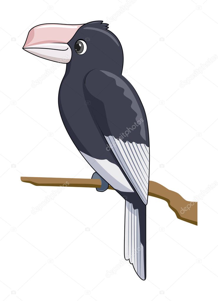Silvery cheeked hornbill bird on a white background. Cartoon style vector illustration