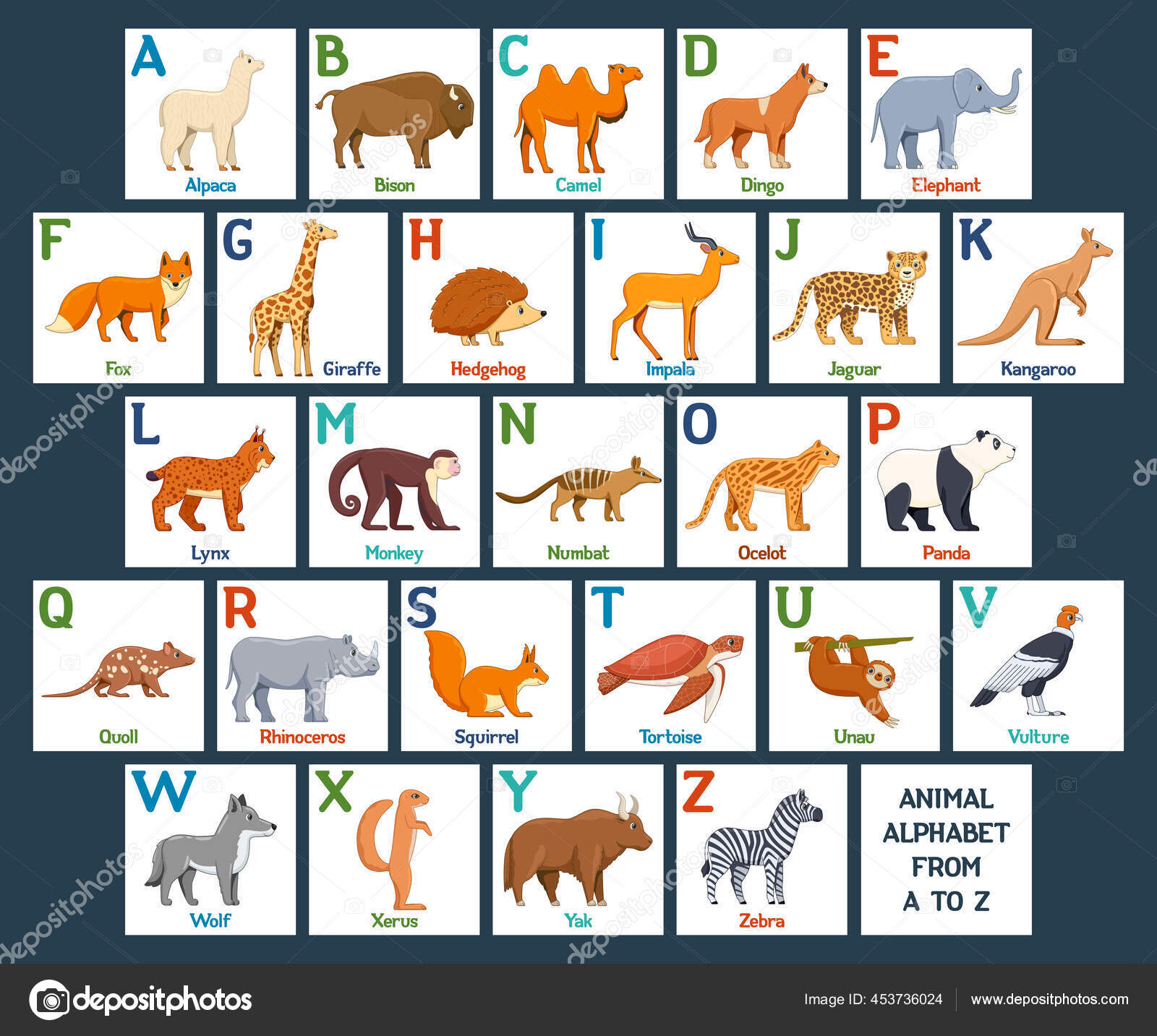 Cute Animals Alphabet Cards Kids Education Educational Preschool Learning Abc Stock Vector Image by ©Genestro #453736024 Cute Animals Alphabet Cards Kids Education Educational Preschool Learning Abc Stock Vector Image by ©Genestro #453736024