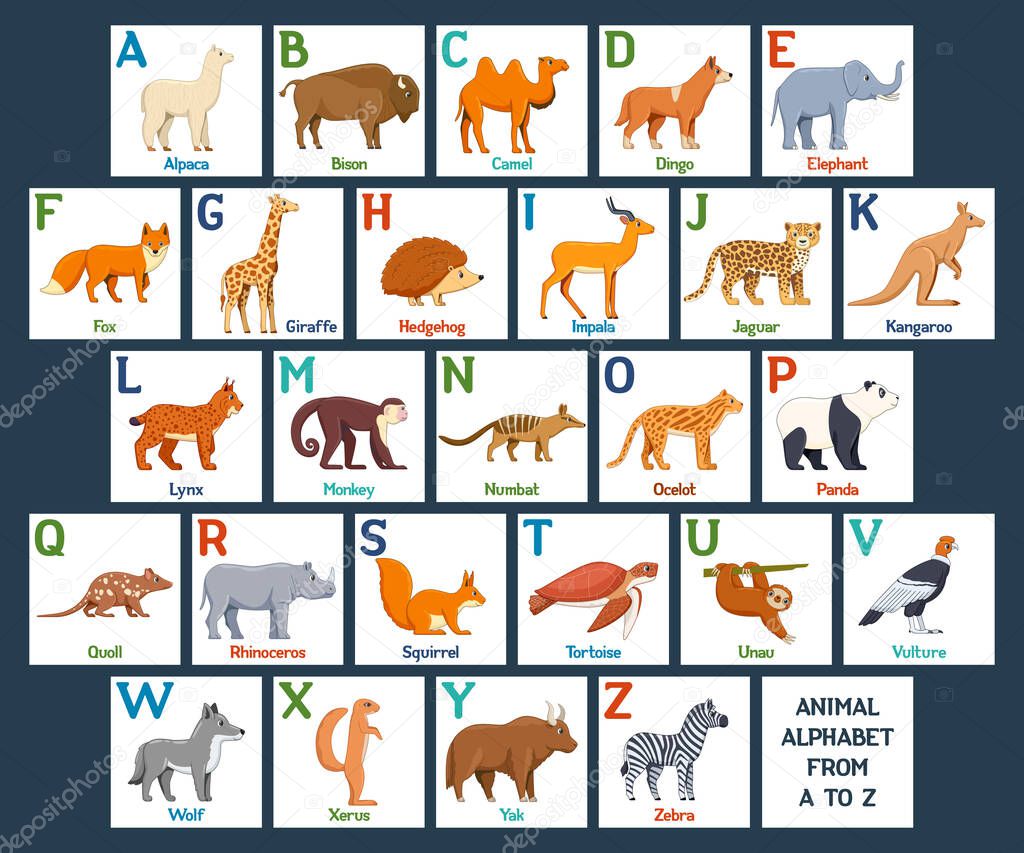 Cute Animals alphabet cards for kids education. Educational preschool learning ABC card with animal and letter. Cartoon vector illustration set