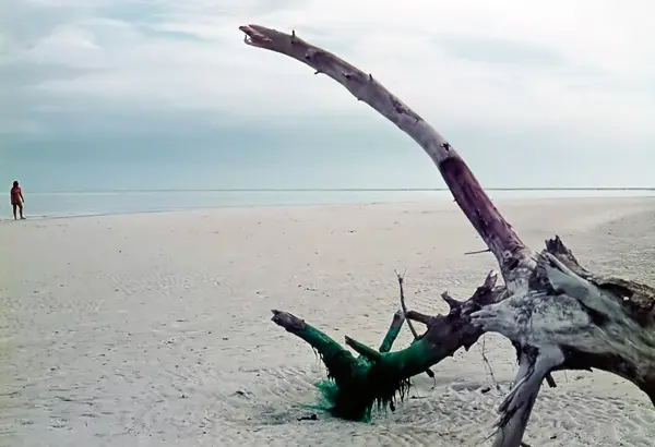 Sandy beach na Floridě — Stock fotografie